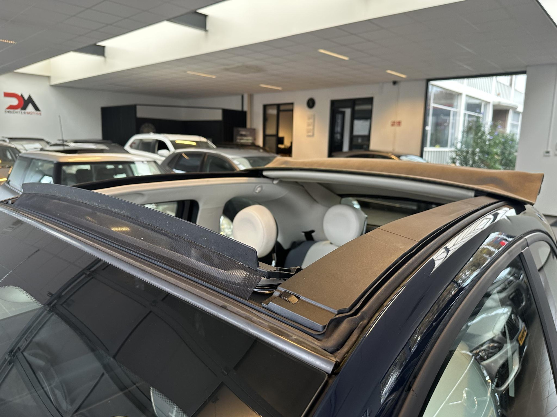 47810583-6.jpg