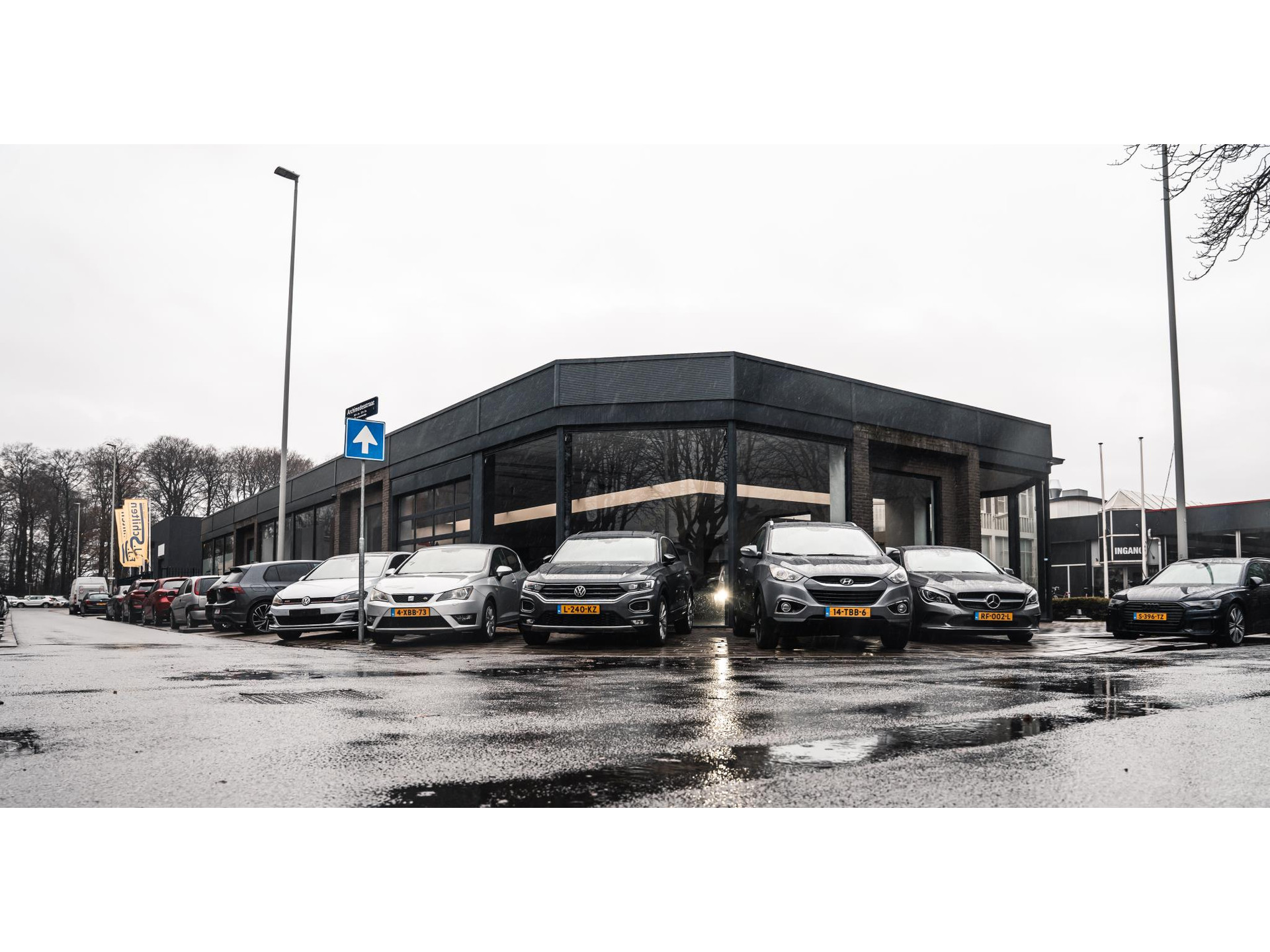47992044-7.jpg