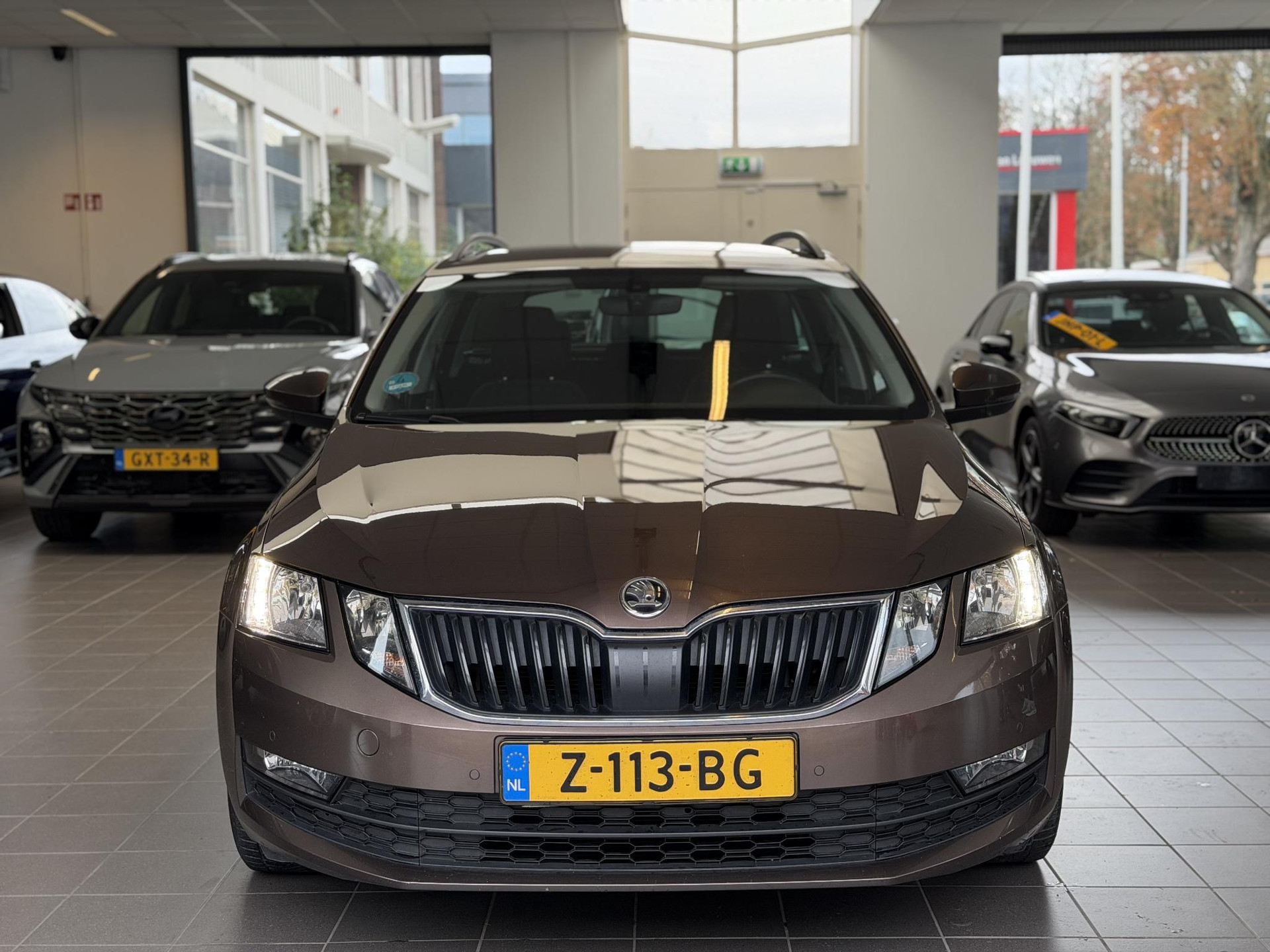48397306-2.jpg